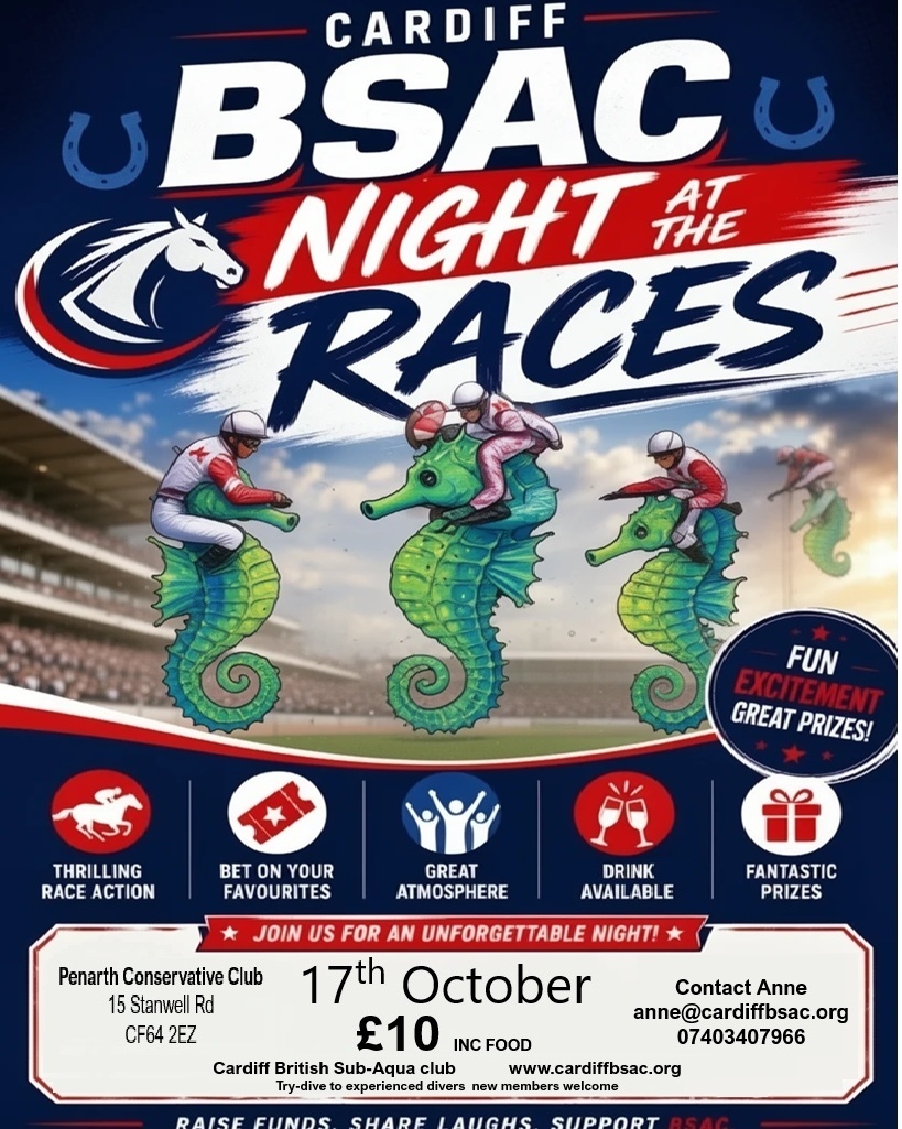 Horse racing poster